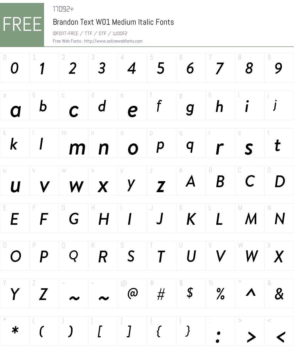 BrandonTextW01-MediumItalic Font Screenshots