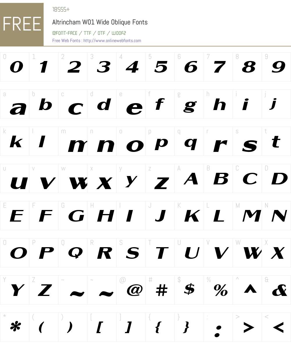 AltrinchamW01-WideOblique Font Screenshots