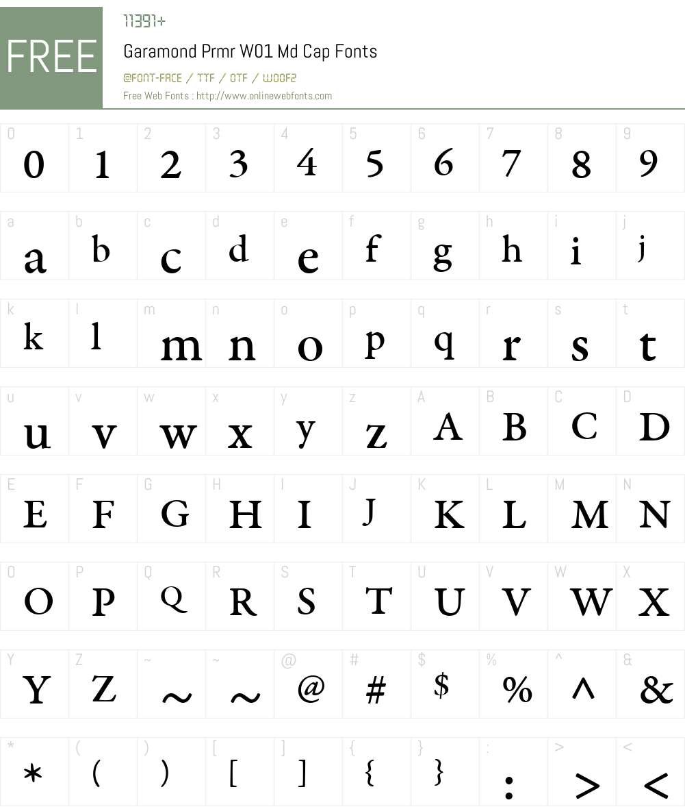 GaramondPrmrW01-MdCap Font Screenshots