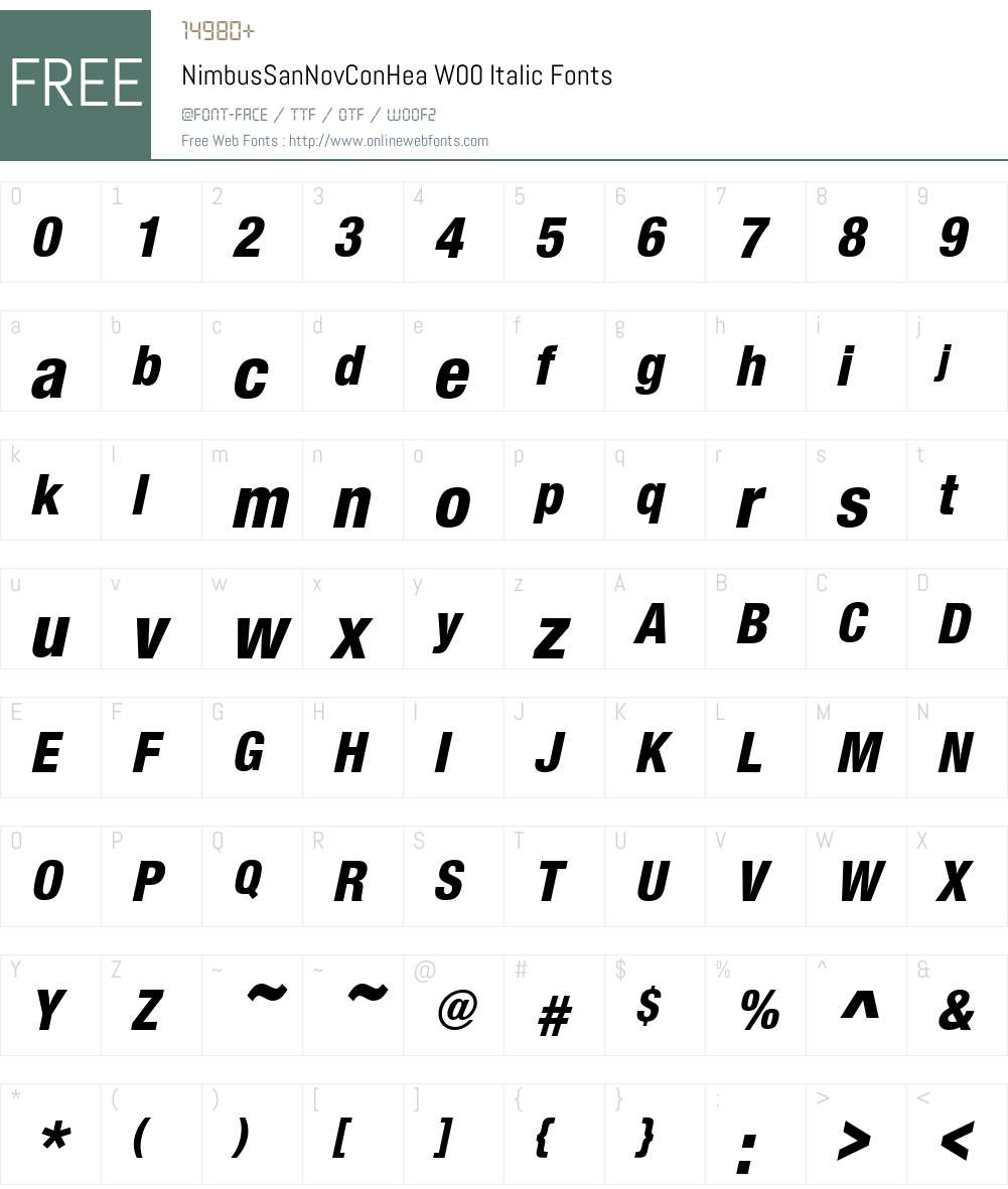 NimbusSanNovConHeaW00-It Font Screenshots