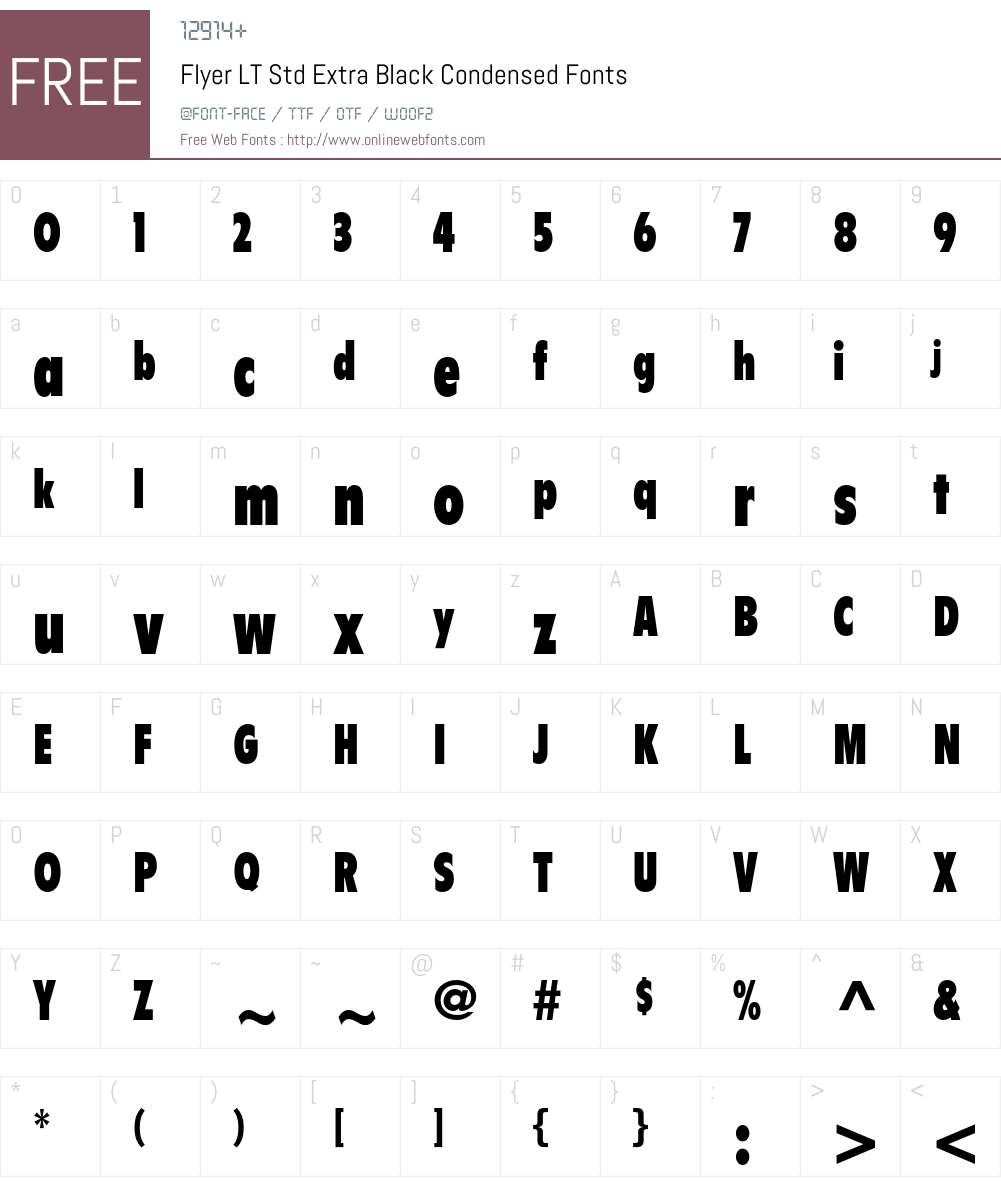 Flyer LT Std Font Screenshots