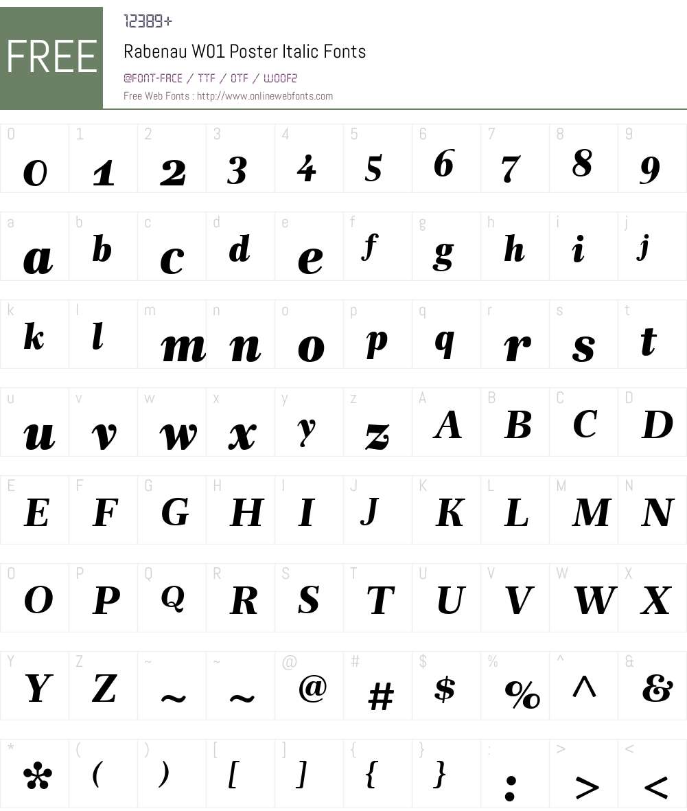RabenauW01-PosterItalic Font Screenshots
