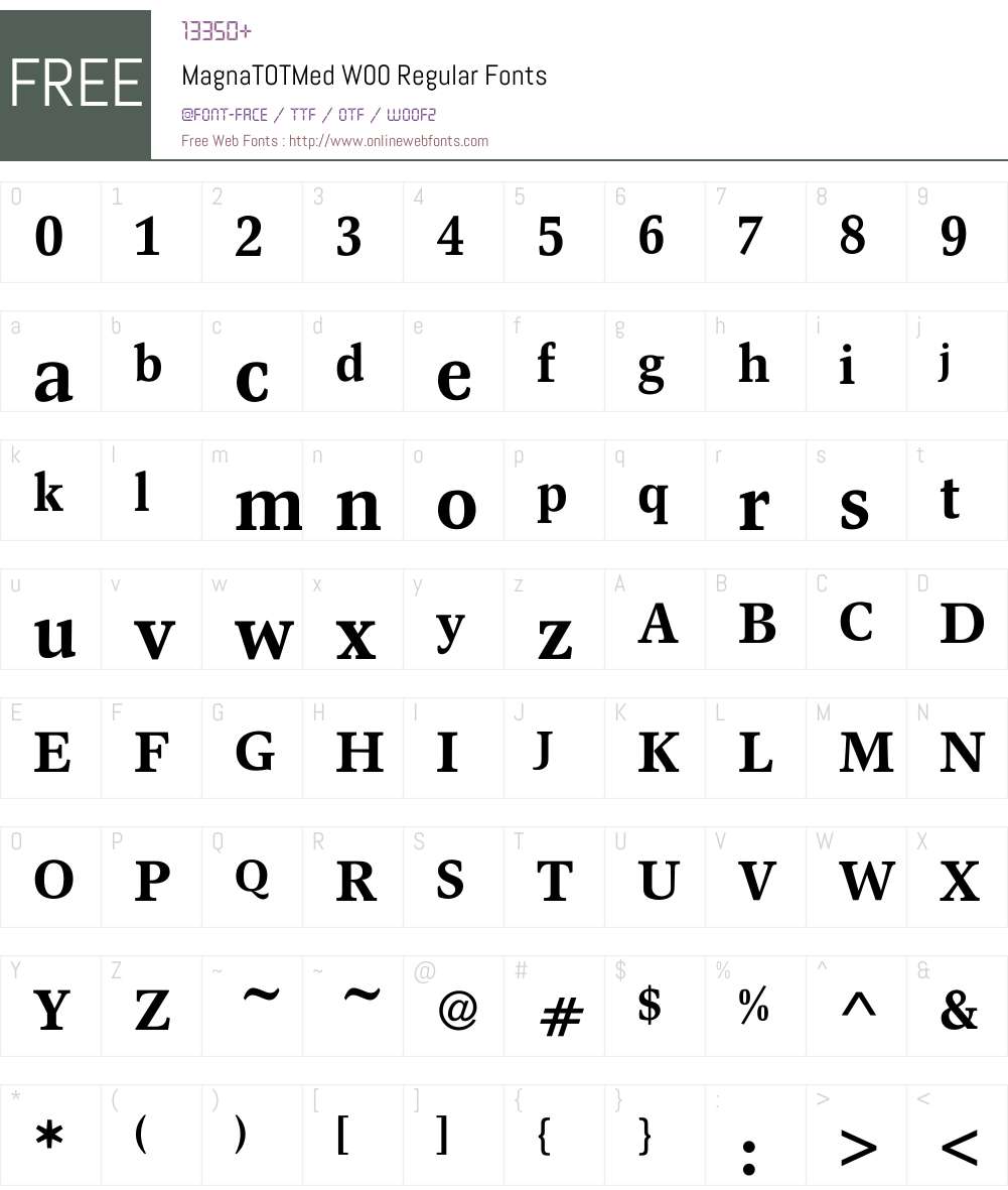 MagnaTOTMedW00-Regular Font Screenshots