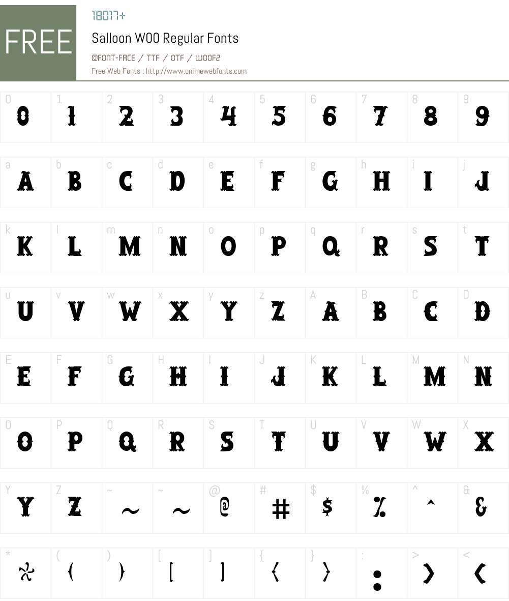 SalloonW00-Regular Font Screenshots
