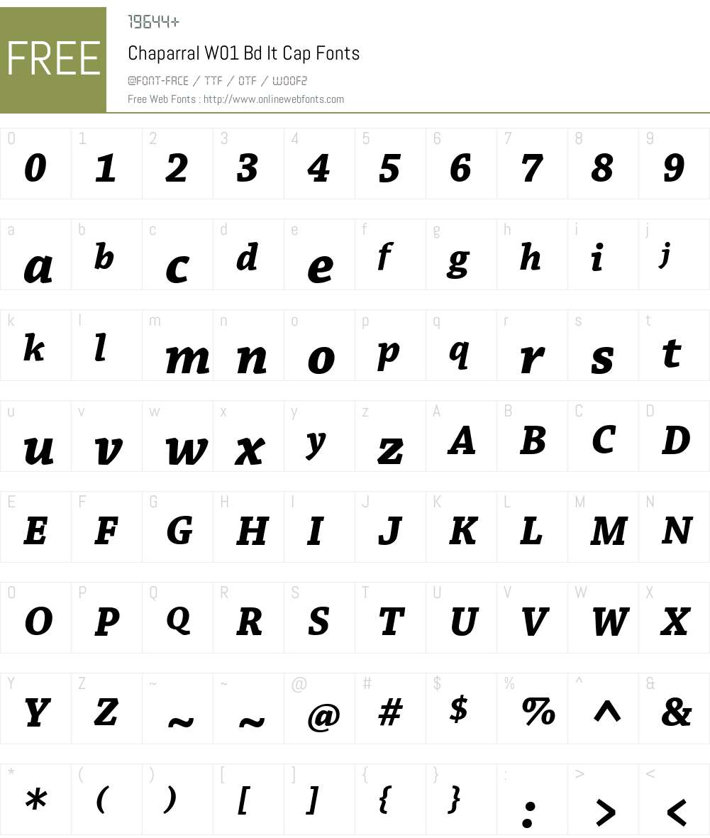 ChaparralW01-BdItCap Font Screenshots