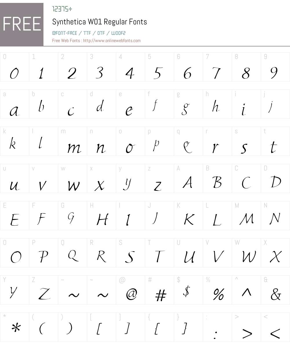 SyntheticaW01-Regular Font Screenshots