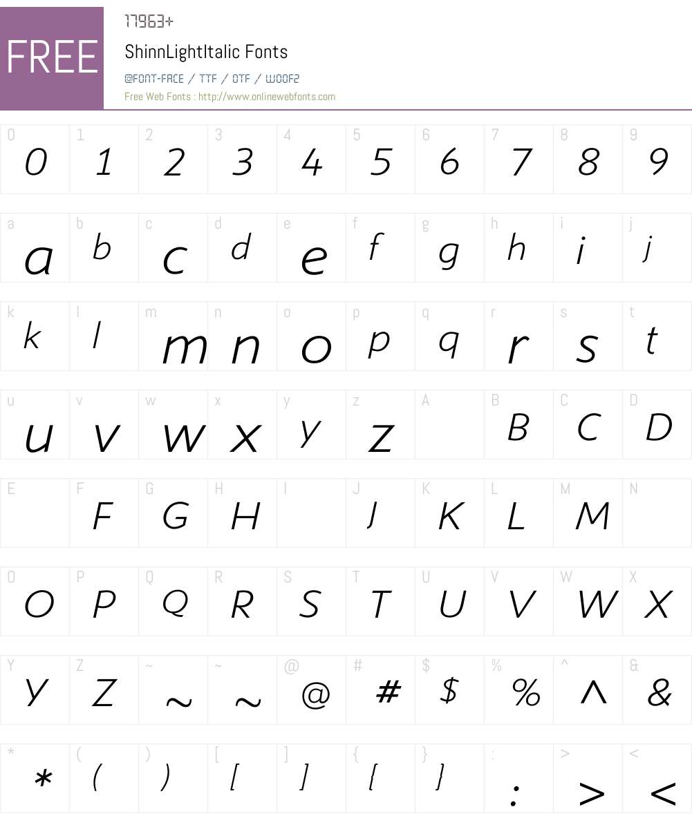 ShinnLightItalic Font Screenshots