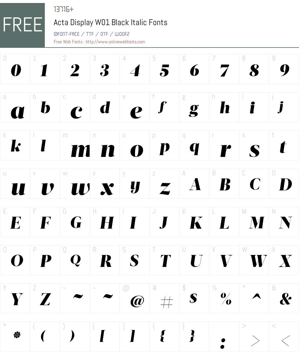 ActaDisplayW01-BlackItalic Font Screenshots
