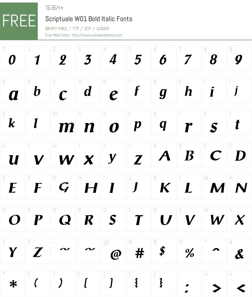 ScriptualeW01-BoldItalic Font Screenshots
