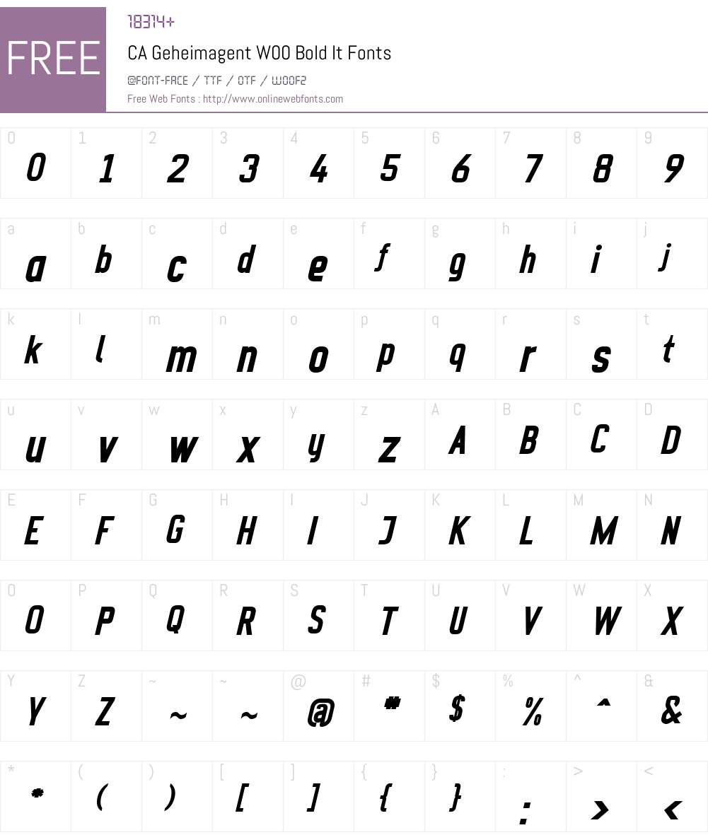 CAGeheimagentW00-BoldIt Font Screenshots