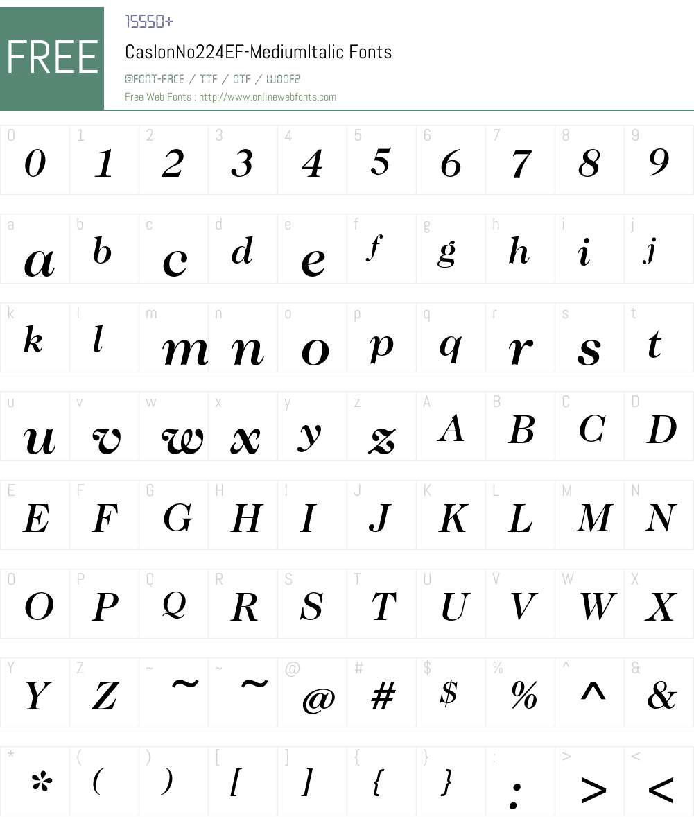 CaslonNo224EF-MediumItalic Font Screenshots