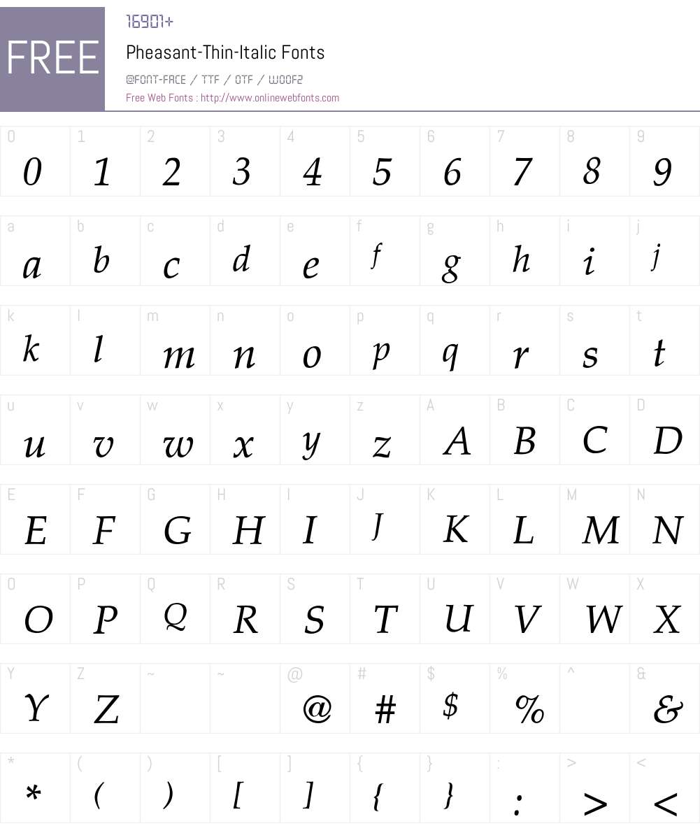 Pheasant-Thin-Italic Font Screenshots