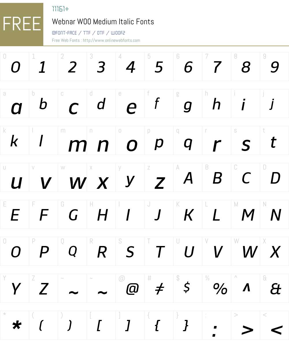 WebnarW00-MediumItalic Font Screenshots