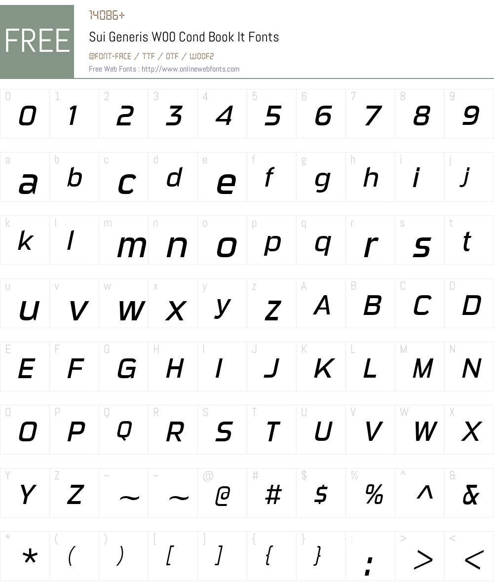 SuiGenerisW00-CondBookIt Font Screenshots