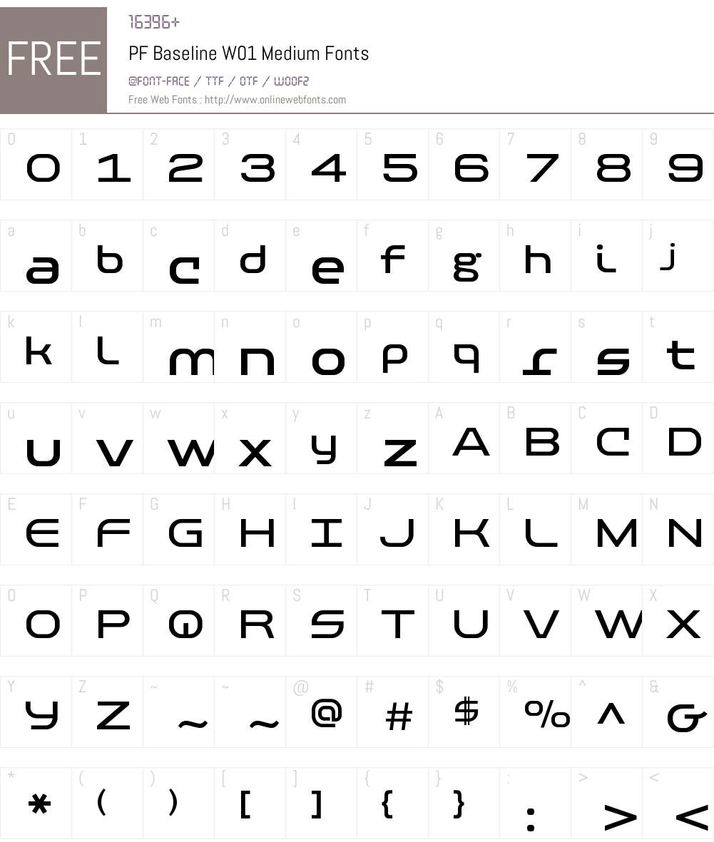 PFBaselineW01-Medium Font Screenshots