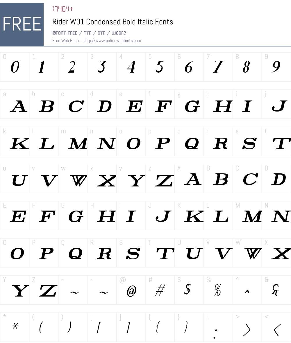 RiderW01-CdBoldItalic Font Screenshots