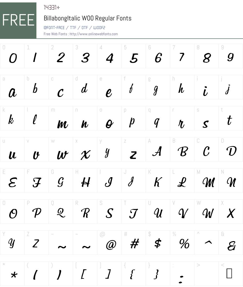 BillabongItalicW00-Regular Font Screenshots