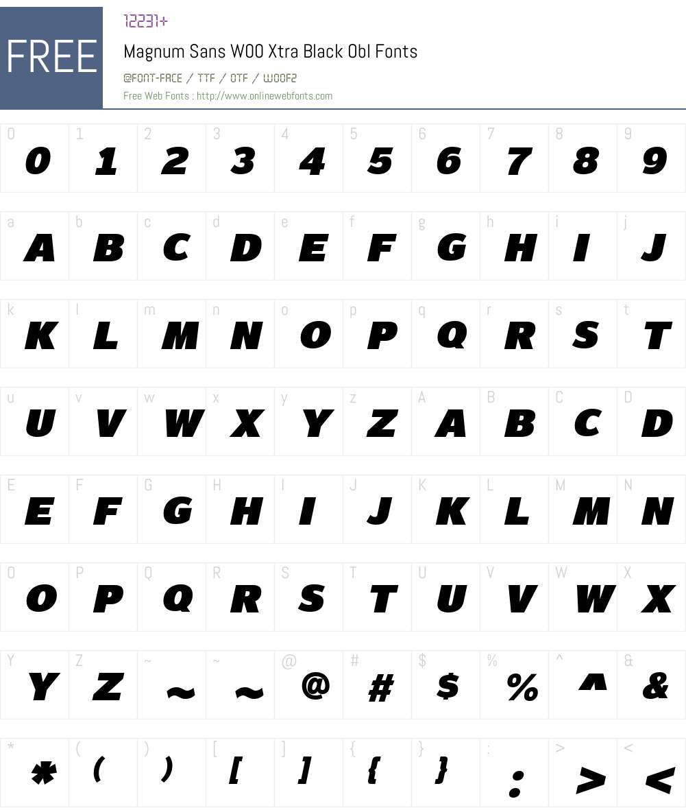 MagnumSansW00-ExtraBlackObl Font Screenshots