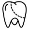 Enamel Regeneration