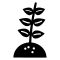 Plant Iv