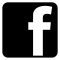 Facebook Logo Button