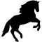 Horse Jumping Silhouette