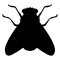 Fly Shape