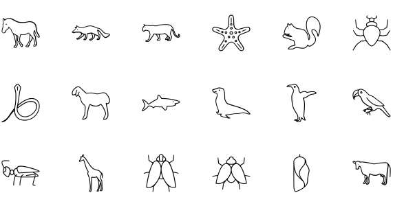 Animals Insects Line