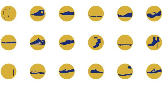 Shoe family portrait