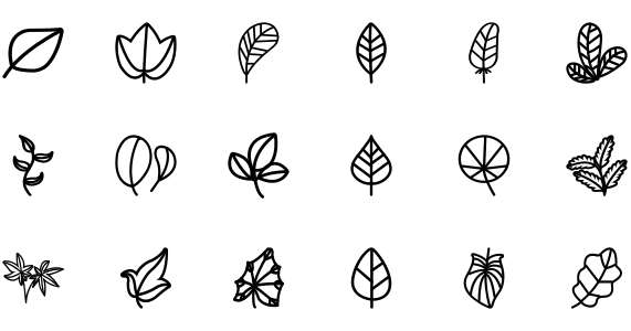 Leaves 24