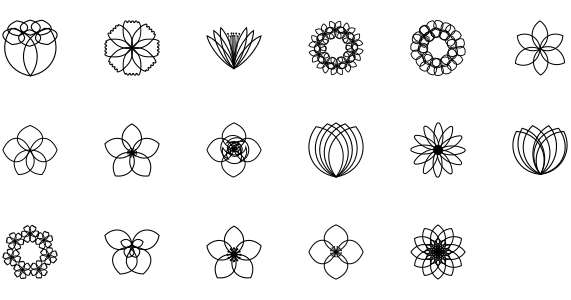 Beautiful flower workshop